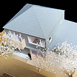 Sakura_02sq